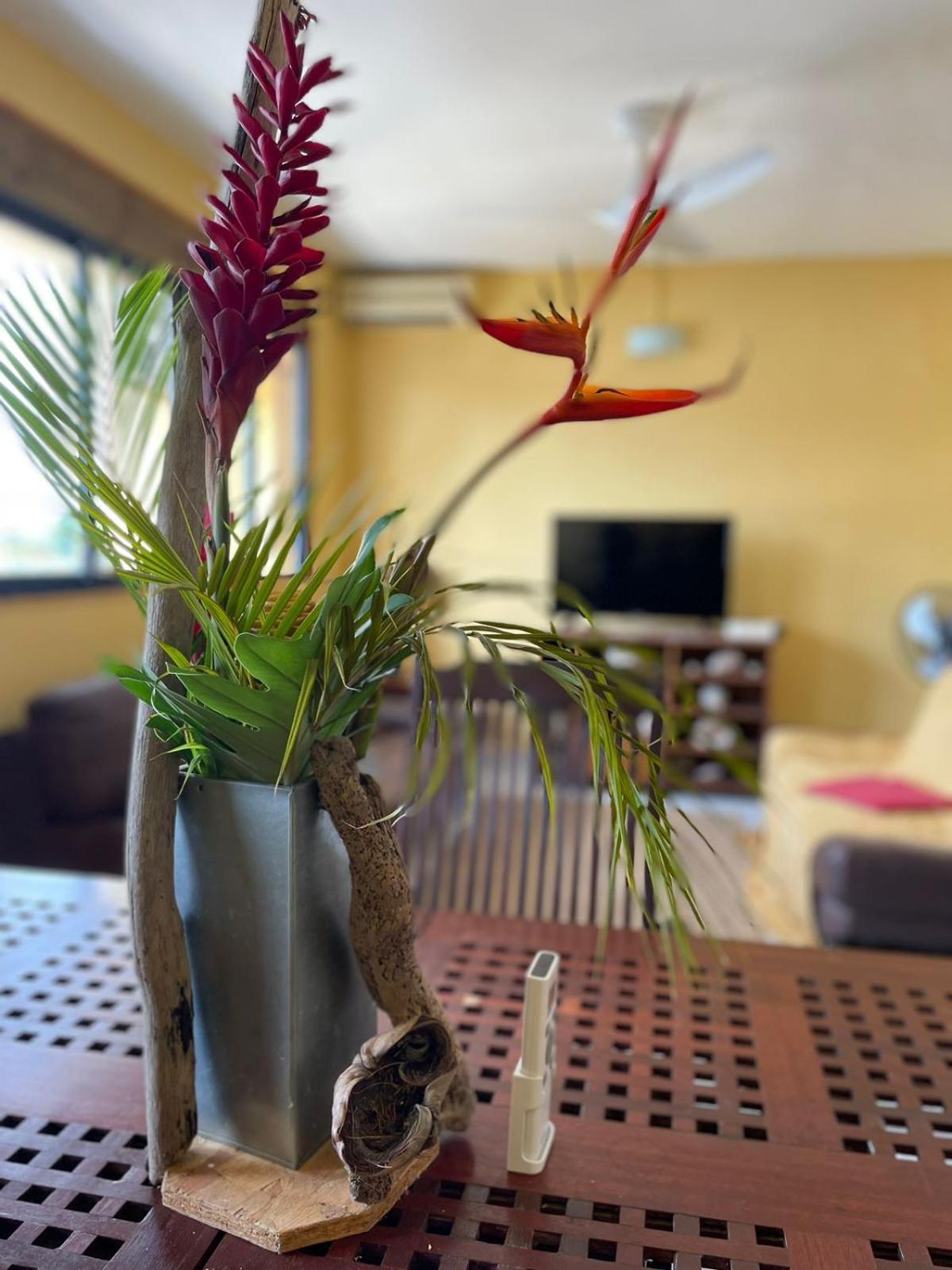 סנט-אן Appartement Tout Confort מראה חיצוני תמונה